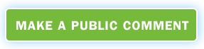 Make a Public Comment